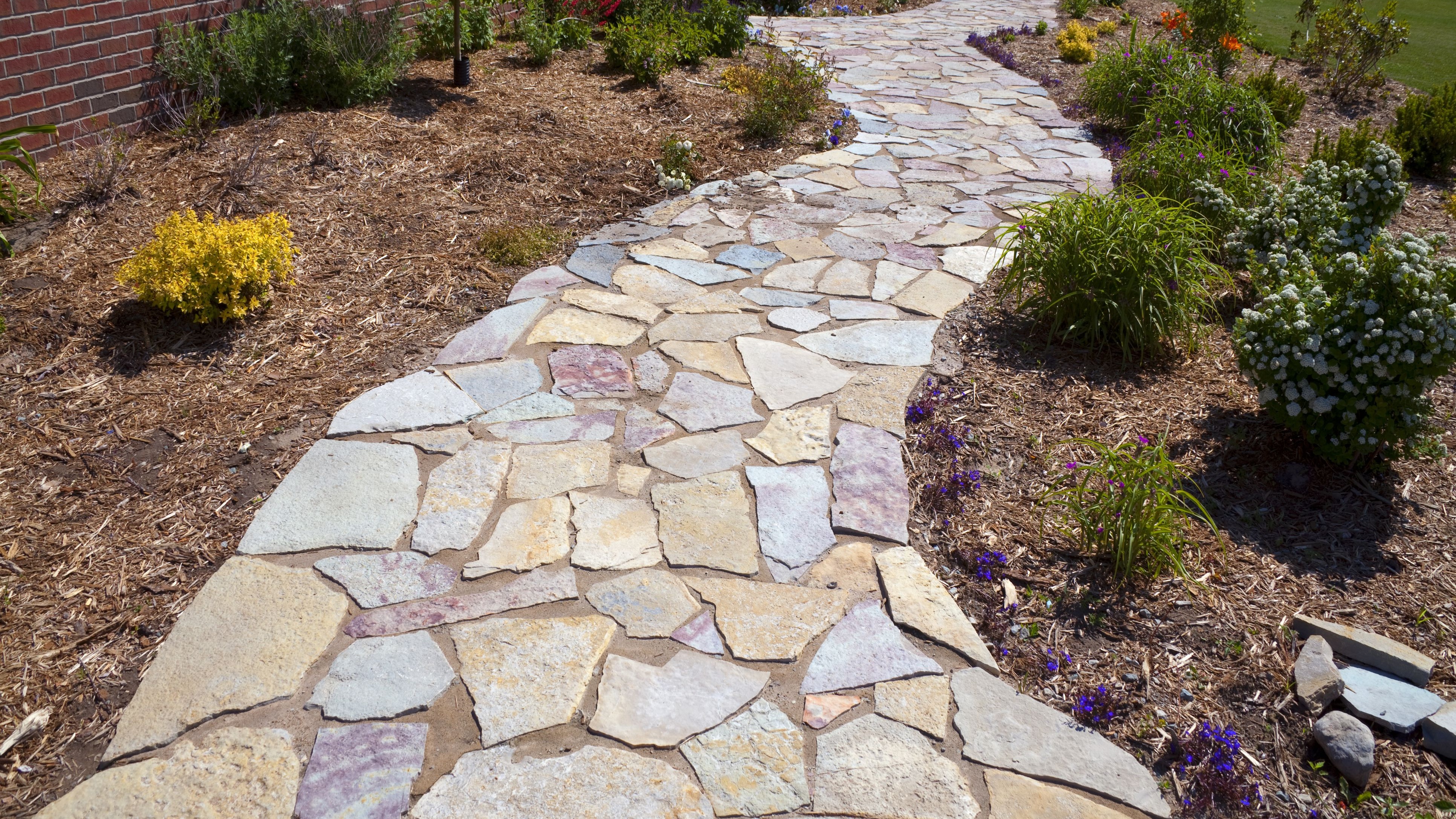 Natural stone pathway through a landscaped garden