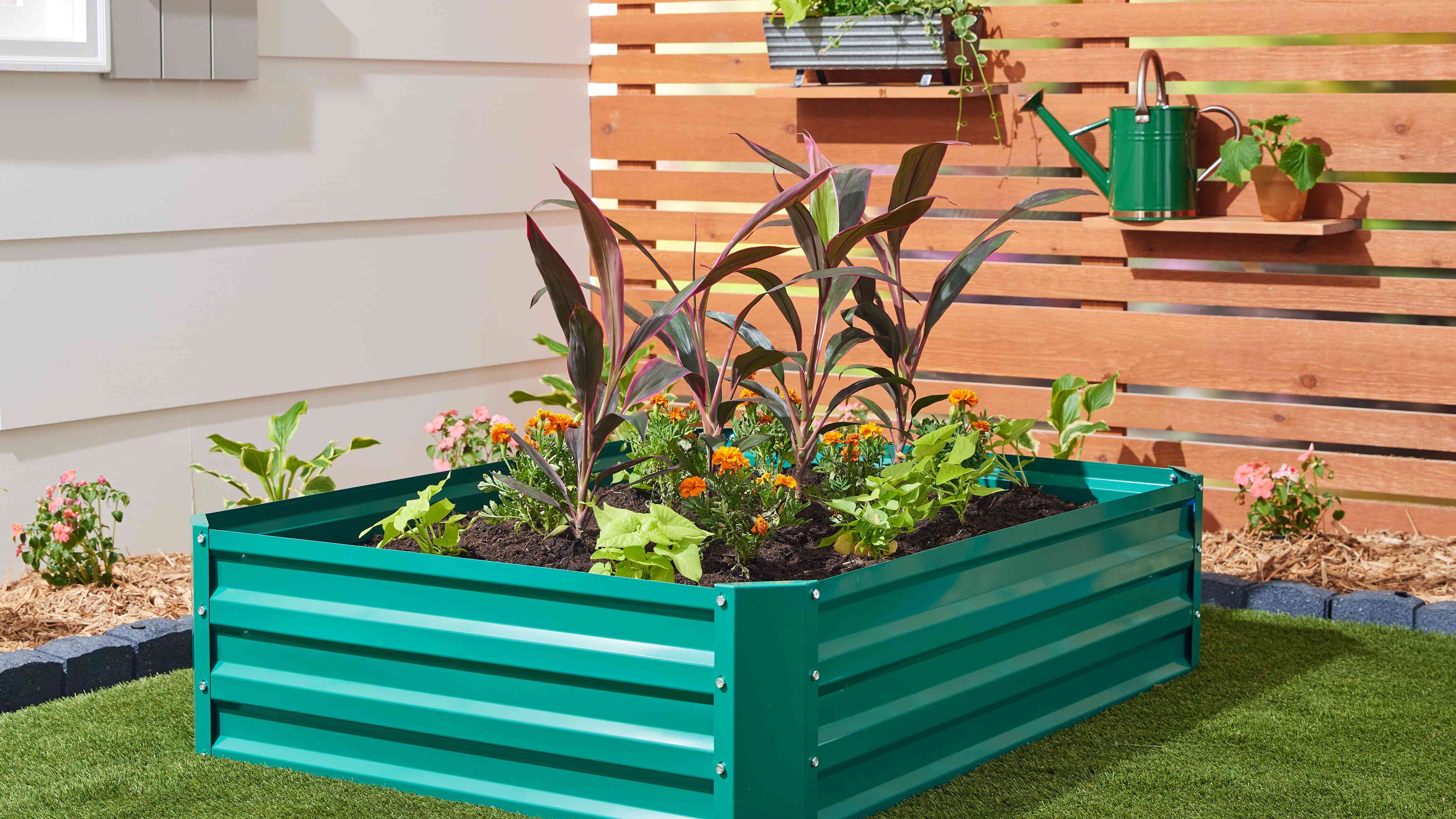 Garden with Raised Beds