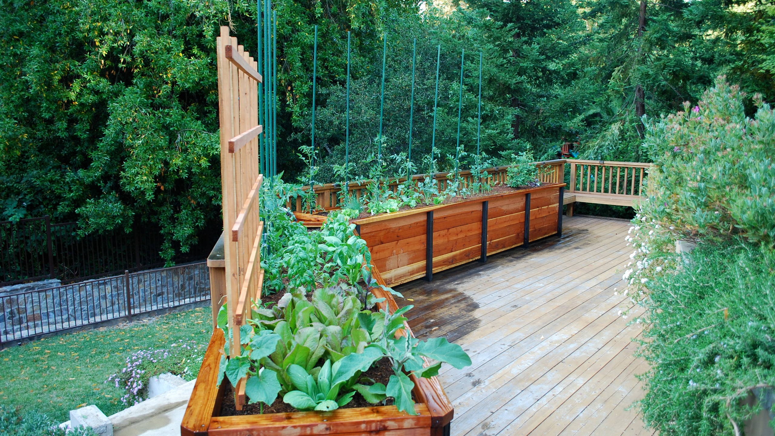 Professional garden decking and landscaping by Octagon Building Landscaping