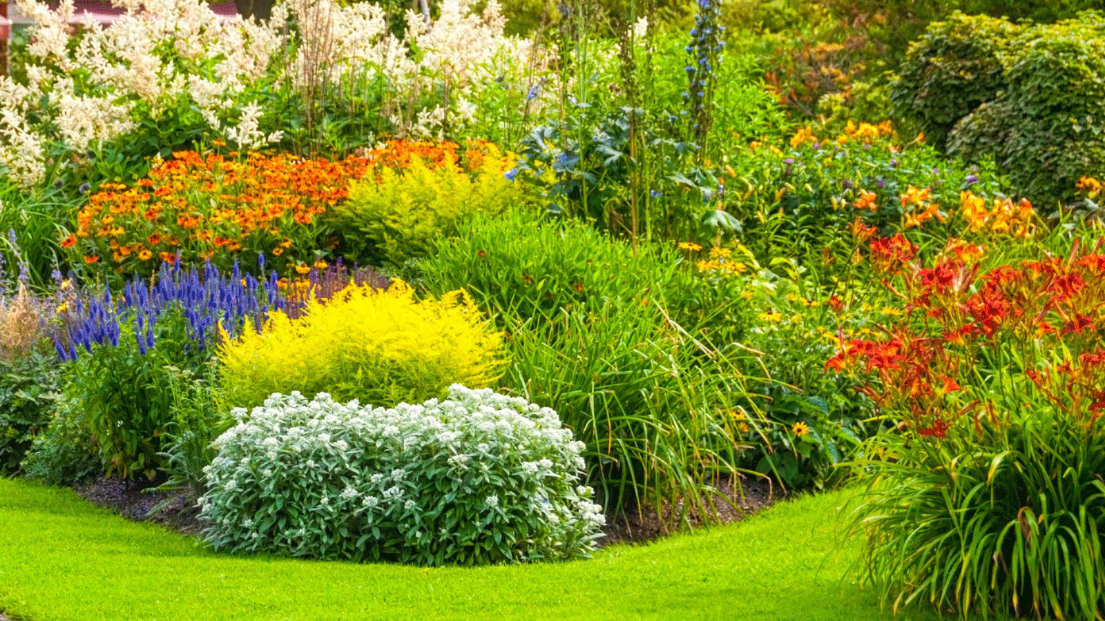 Landscaping - professional landscaping service
